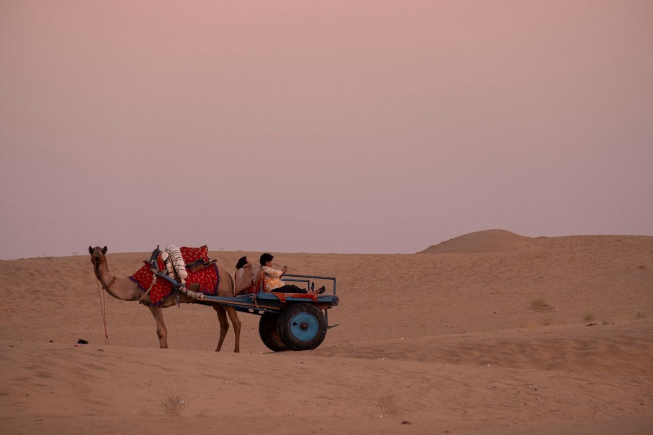 WhatsApp Image 2024-10-21 at 1.25.45 PM