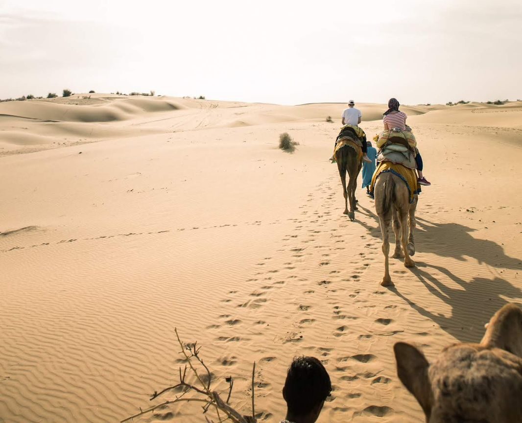 WhatsApp Image 2024-10-21 at 1.25.50 PM (1)