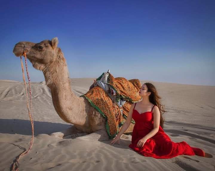 WhatsApp Image 2024-10-21 at 1.25.51 PM (1)